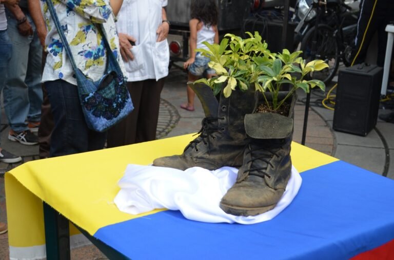 Si señor mindefensa, esos muertos politiqueros se auto mataron