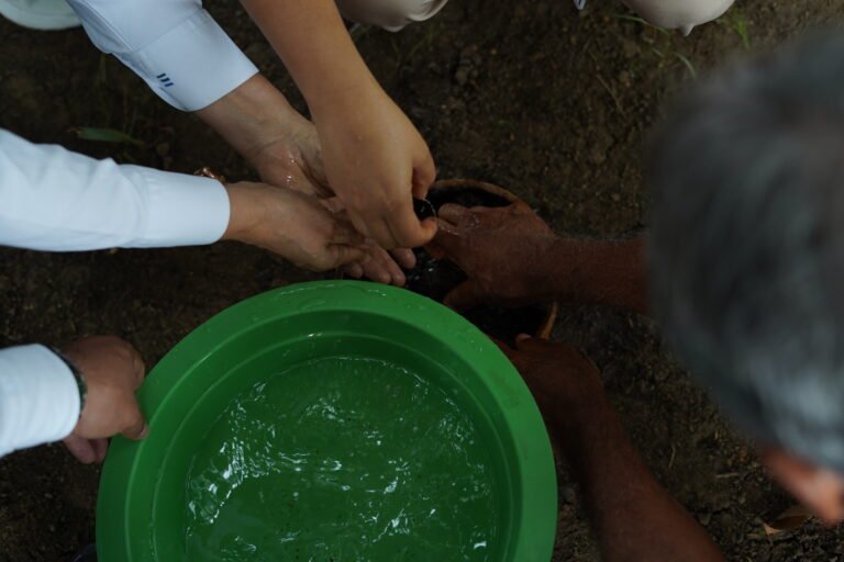 Hacia una agenda por la vida, la Paz y la democracia en Cali